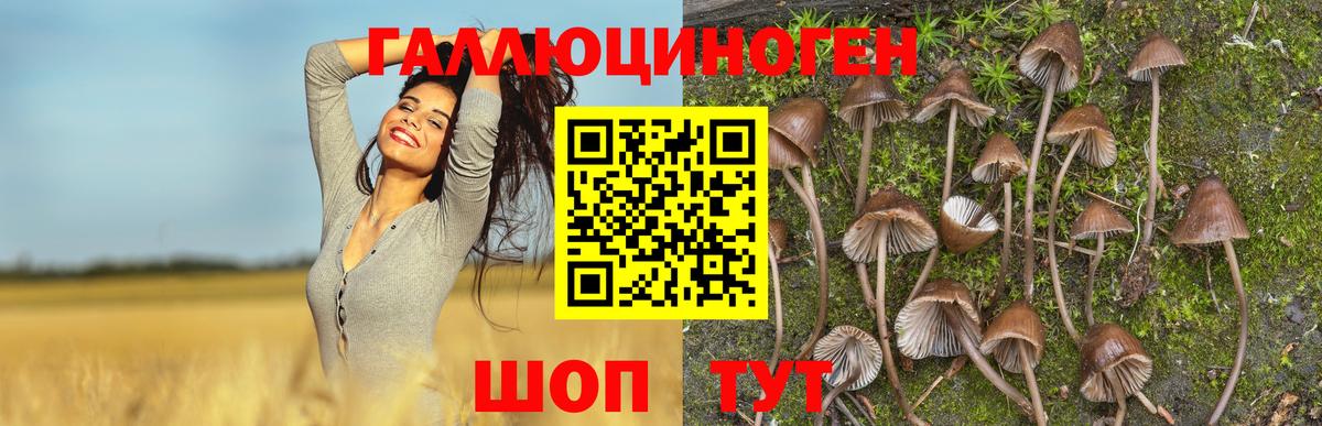 Псилоцибиновые грибы мухоморы Тула