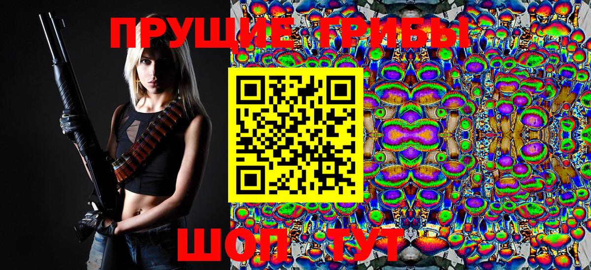 Псилоцибиновые грибы GOLDEN TEACHER  Вход с VPN  Тула  Псилоцибиновые грибы Psilocybe 